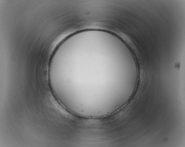 X0000113151238200909251320