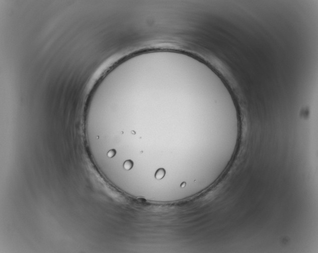 X0000113151240200909251320