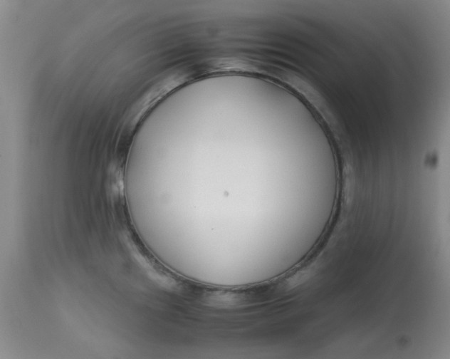 X0000113151241200909251320