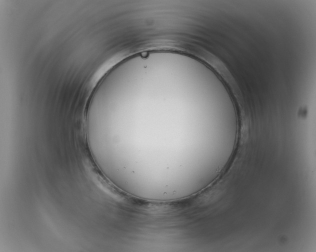 X0000113151242200909251320