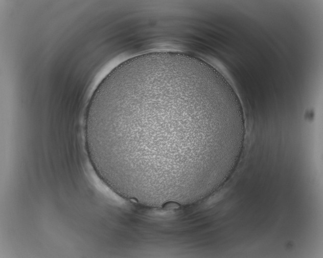 X0000113151243200909251320