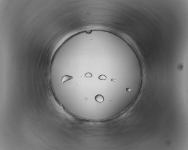 X0000113151244200909251320