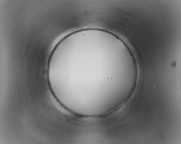 X0000113151246200909251320