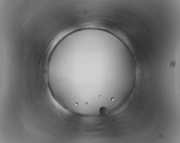 X0000113151247200909251320