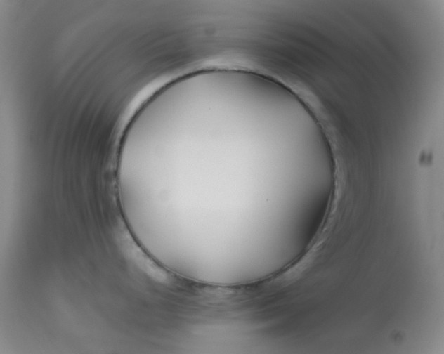 X0000113151248200909251320