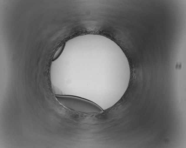 X0000113151249200909251320