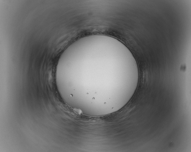 X0000113151250200909251320