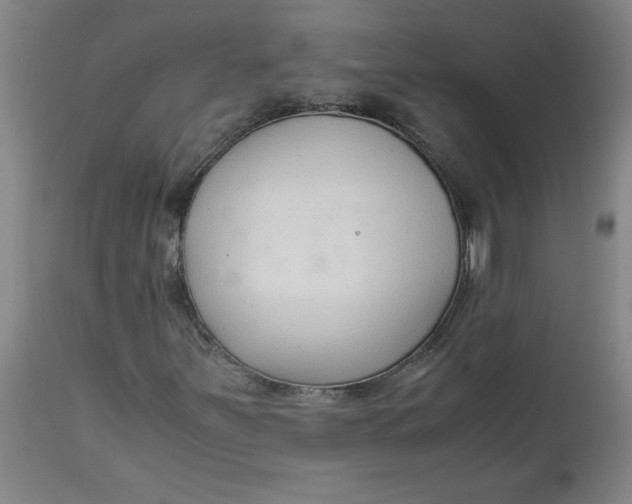 X0000113151251200909251320