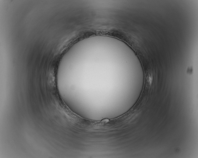 X0000113151252200909251320