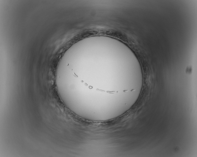 X0000113151253200909251320