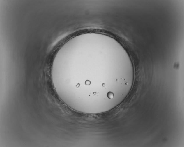 X0000113151255200909251320