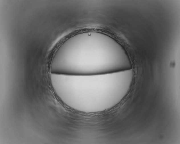 X0000113151256200909251320