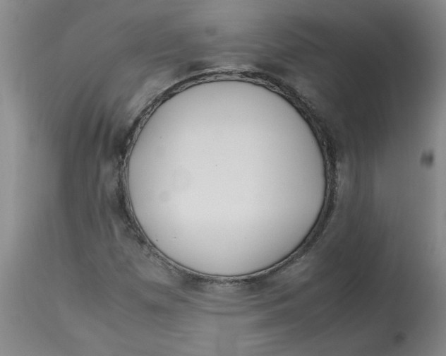 X0000113151257200909251320