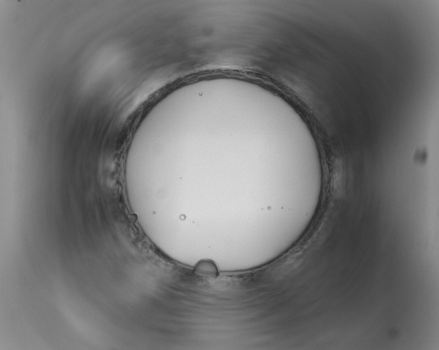 X0000113151258200909251320