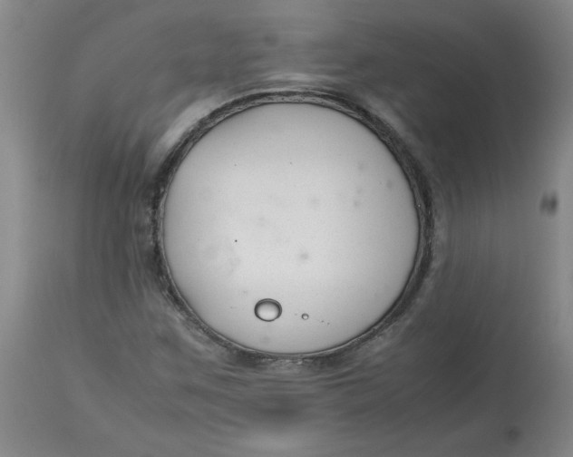 X0000113151259200909251320