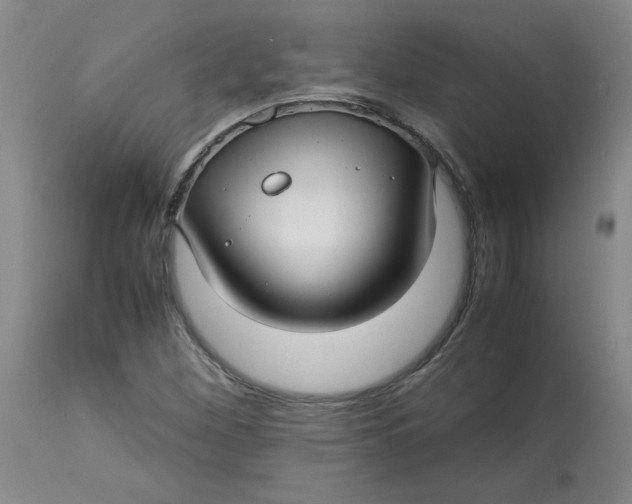 X0000113151260200909251320