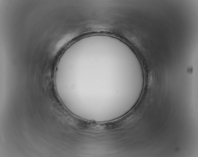 X0000113151261200909251319