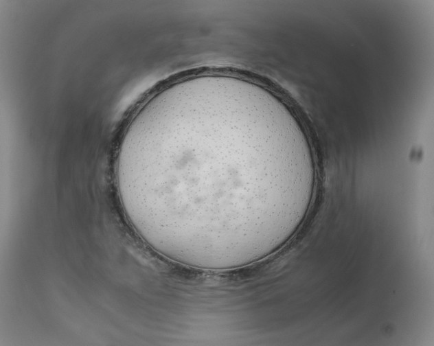 X0000113151263200909251319