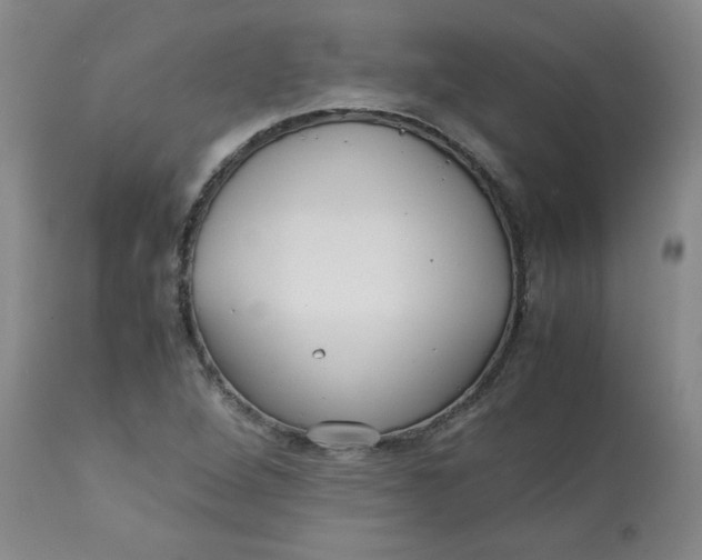 X0000113151264200909251319