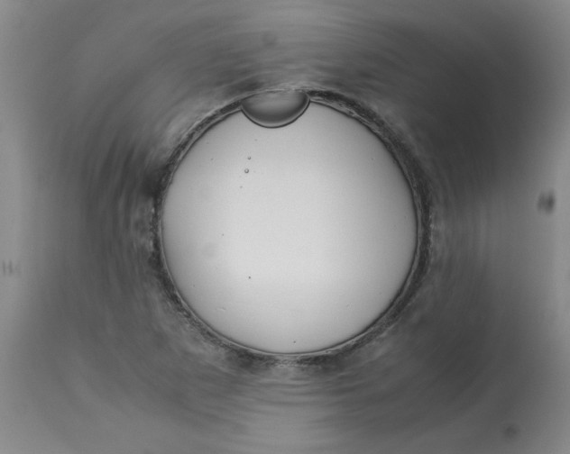 X0000113151265200909251319