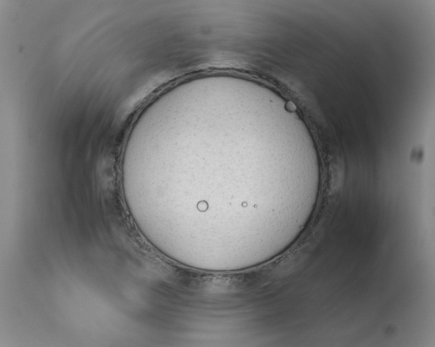 X0000113151266200909251319