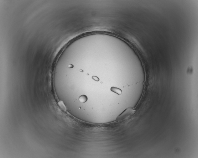 X0000113151268200909251319