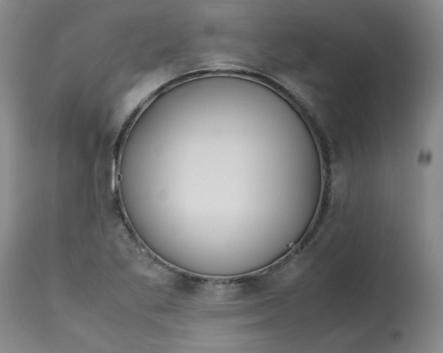 X0000113151269200909251319