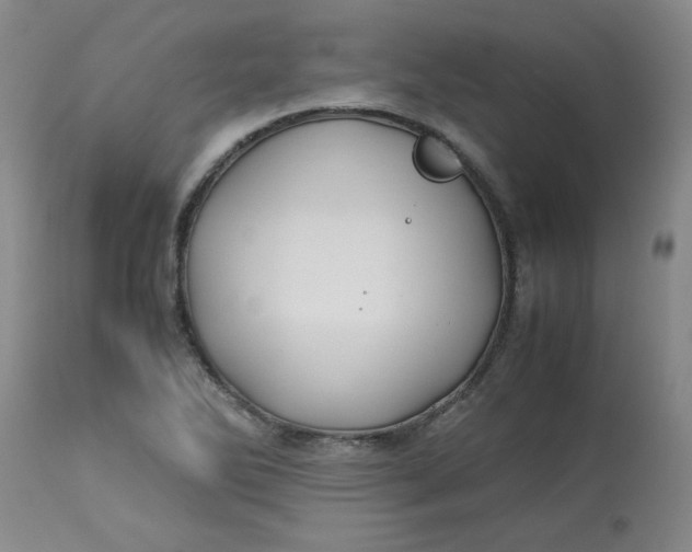 X0000113151270200909251319