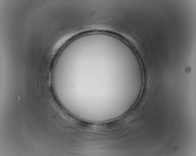 X0000113151271200909251319