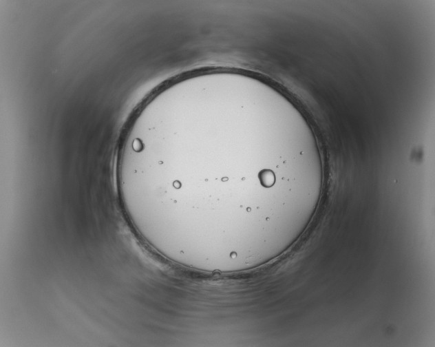 X0000113151272200909251319