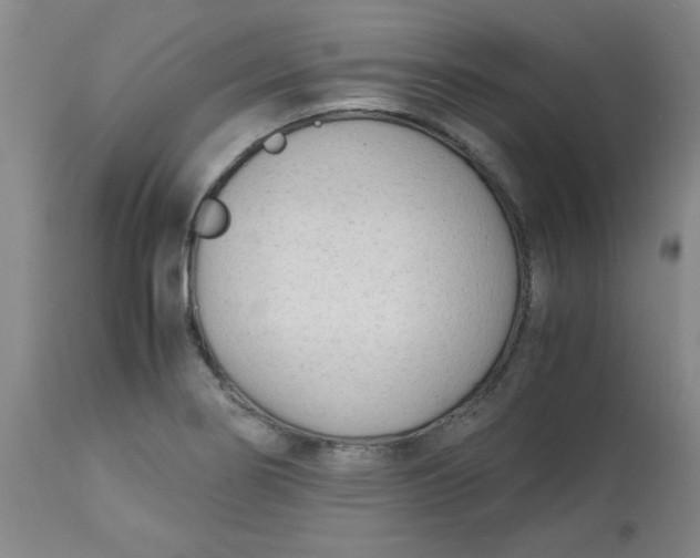 X0000113151274200909251319