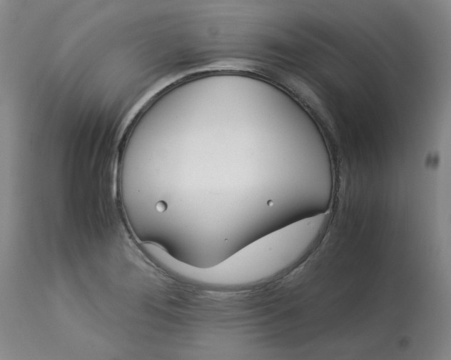 X0000113151276200909251319