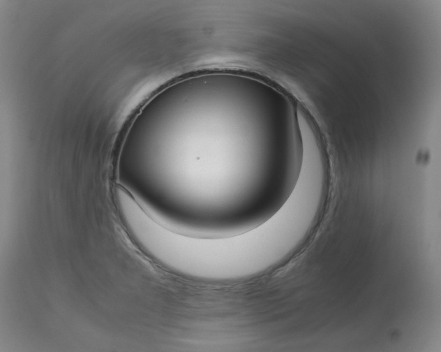 X0000113151277200909251319