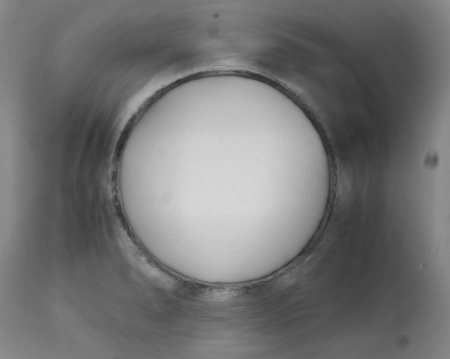 X0000113151278200909251319