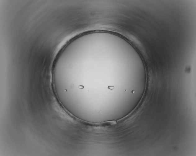 X0000113151280200909251319