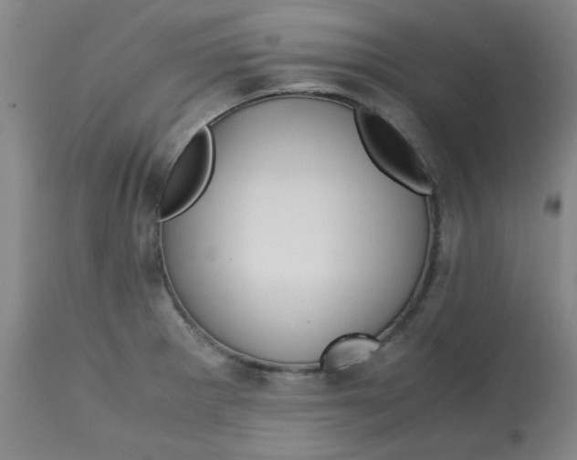 X0000113151281200909251319