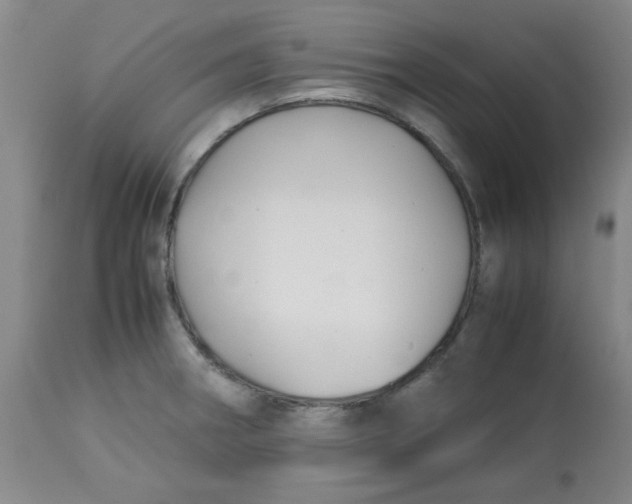 X0000113151282200909251319