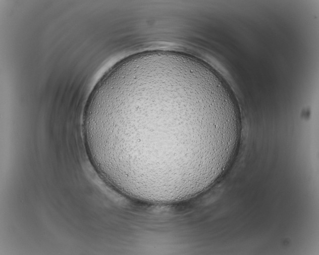 X0000113151283200909251319