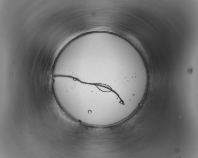 X0000113151284200909251319