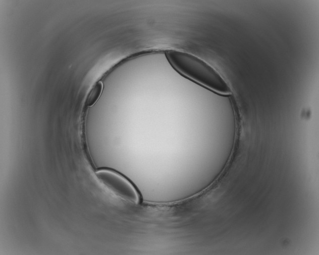 X0000113151285200909251319