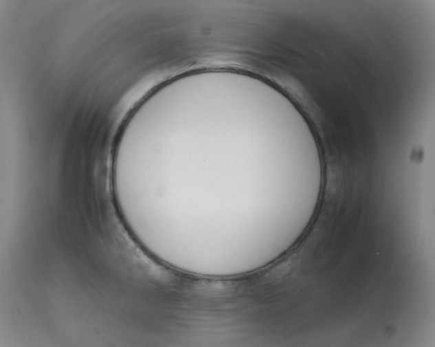 X0000113151286200909251319