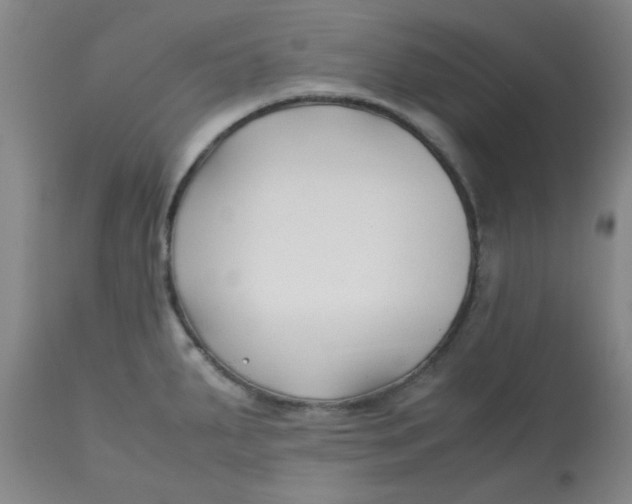 X0000113151287200909251319