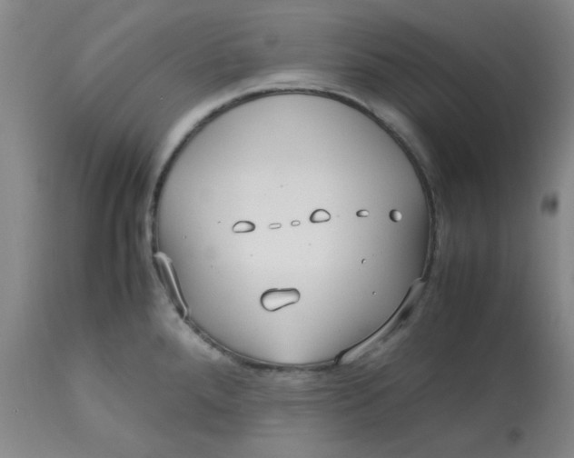 X0000113151288200909251319