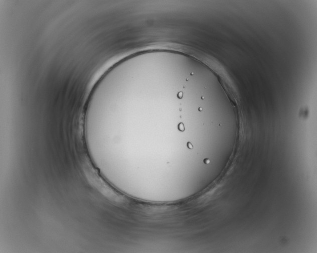 X0000113151292200909251319