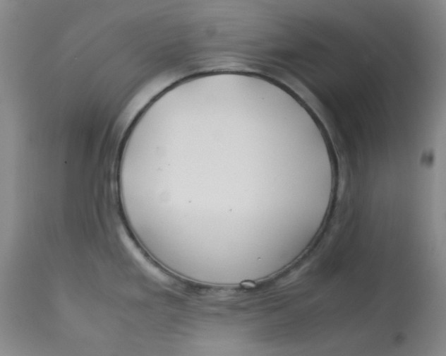 X0000113151293200909251319