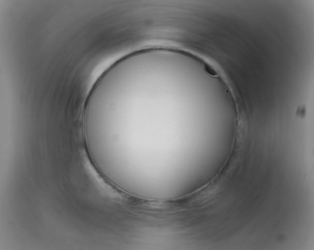 X0000113151295200909251319