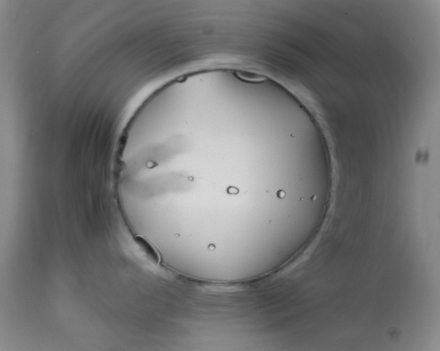 X0000113151296200909251319