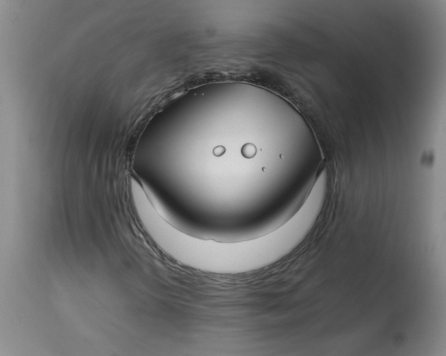 X0000113151298200909251318