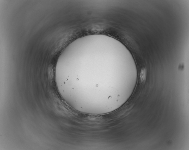 X0000113151299200909251318