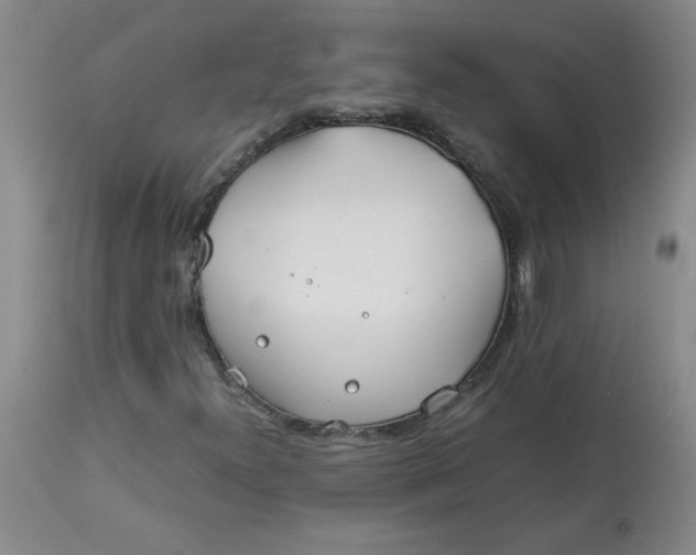 X0000113151300200909251318